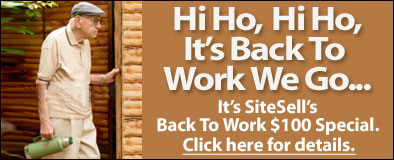 The Site Build It! Back to Work Special